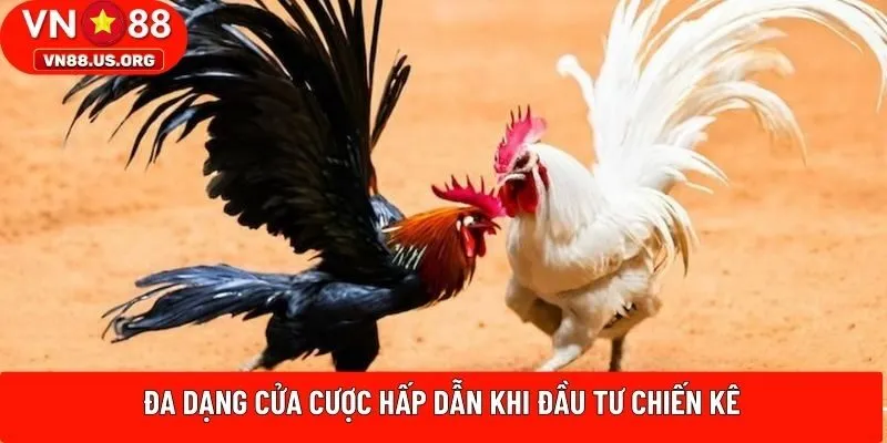 Đa dạng cửa cược hấp dẫn khi đầu tư chiến kê