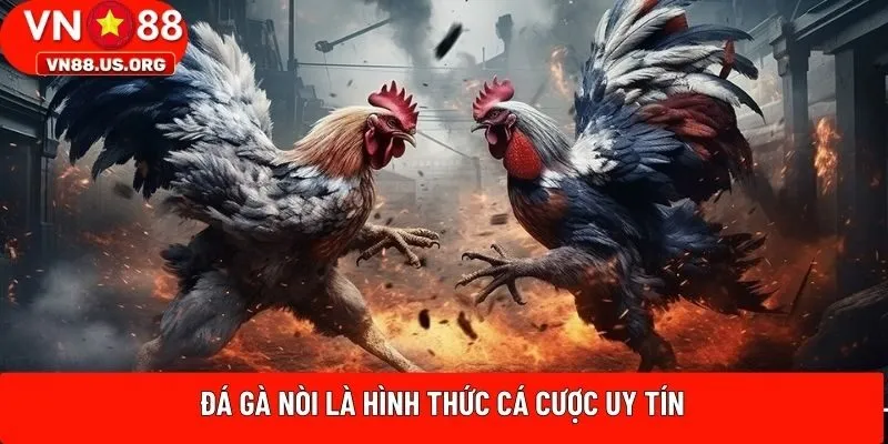 Đá gà nòi là hình thức cá cược uy tín
