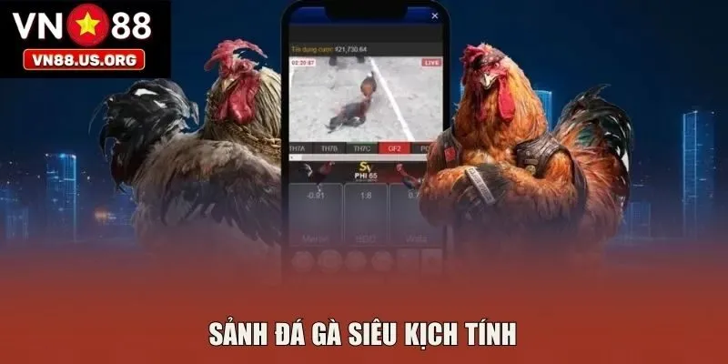 Sảnh đá gà siêu kịch tính